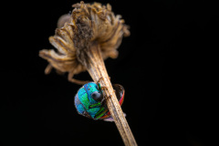2023-08-09-11.44.16-ZS-retouched-Modifier
